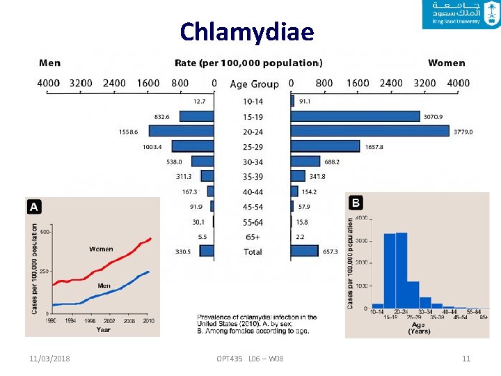 Chlamydiae 11/03/2018 OPT 435 L 06 – W 08 11 