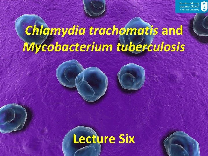 Chlamydia trachomatis and Mycobacterium tuberculosis Lecture Six 