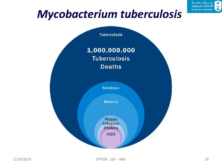 Mycobacterium tuberculosis 11/03/2018 OPT 435 L 06 – W 08 25 