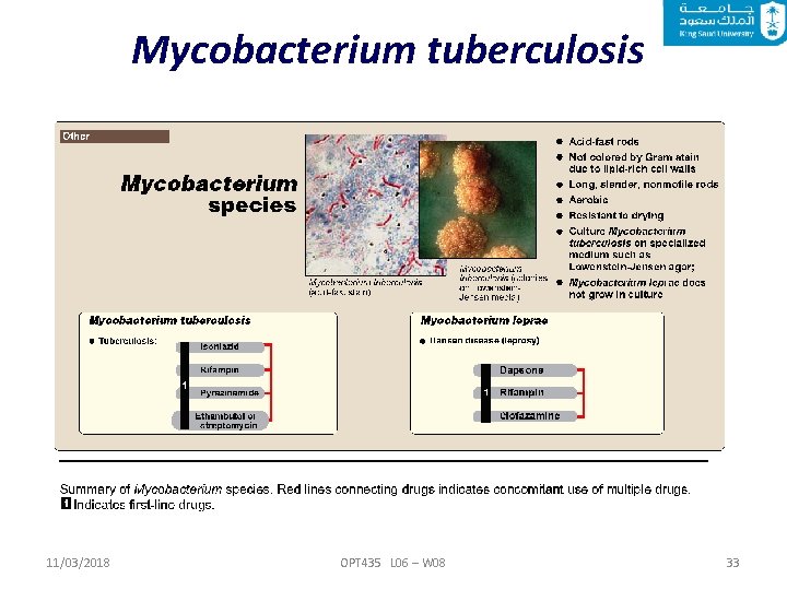 Mycobacterium tuberculosis 11/03/2018 OPT 435 L 06 – W 08 33 