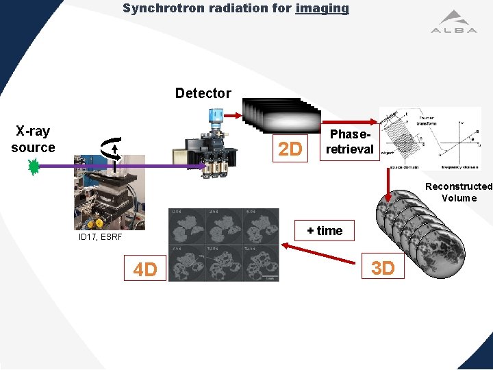 Synchrotron radiation for imaging Detector X-ray source 2 D Phaseretrieval Sample Reconstructed Volume +