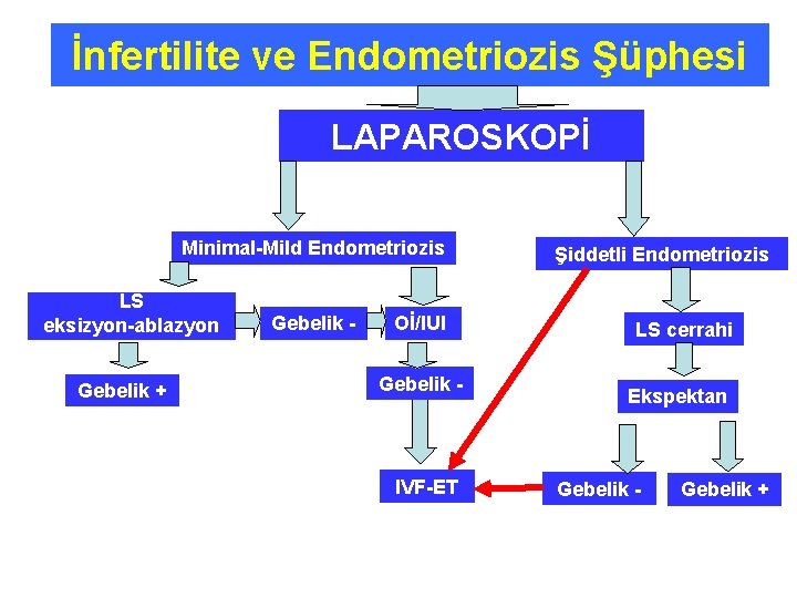 İnfertilite ve Endometriozis Şüphesi LAPAROSKOPİ Minimal-Mild Endometriozis LS eksizyon-ablazyon Gebelik + Gebelik - Oİ/IUI