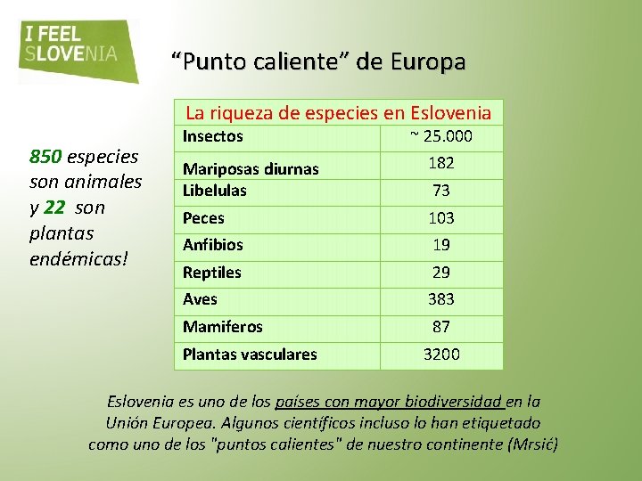 “Punto caliente” de Europa La riqueza de especies en Eslovenia 850 especies son animales