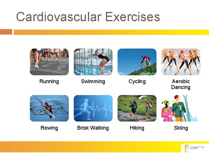 Cardiovascular Exercises Running Swimming Cycling Aerobic Dancing Rowing Brisk Walking Hiking Skiing 