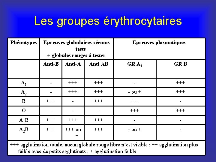 Les groupes érythrocytaires Phénotypes Epreuves globulaires sérums tests + globules rouges à tester Epreuves