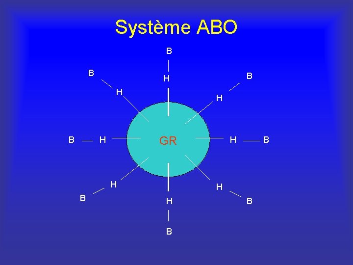 Système ABO B B H GR H H B B 