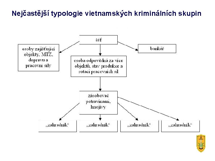 Nejčastější typologie vietnamských kriminálních skupin 