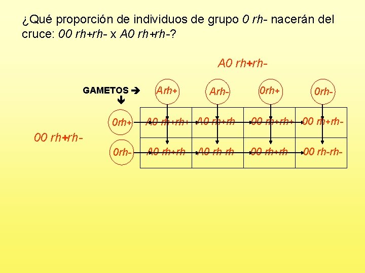 ¿Qué proporción de individuos de grupo 0 rh- nacerán del cruce: 00 rh+rh- x