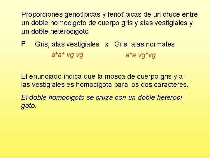 Proporciones genotípicas y fenotípicas de un cruce entre un doble homocigoto de cuerpo gris