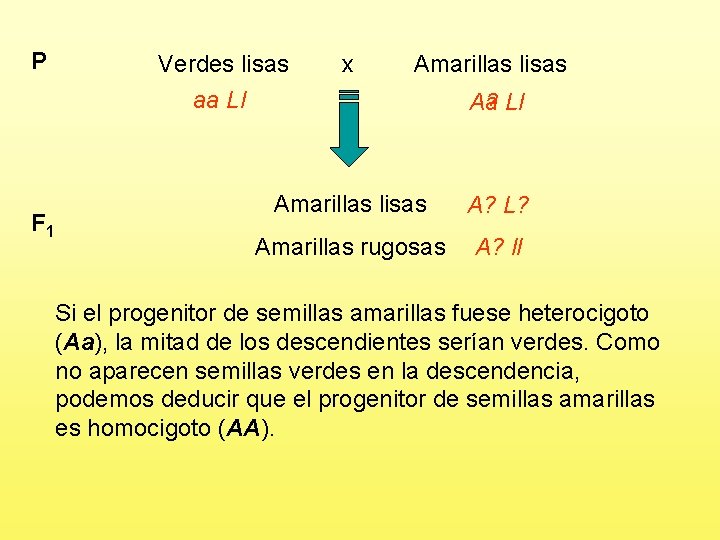 P F 1 Verdes lisas aa Ll x Amarillas lisas Aa Ll A? Amarillas