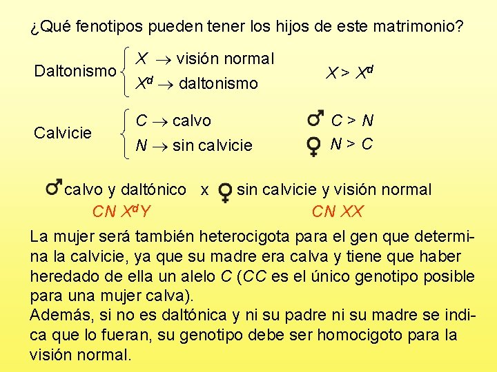 ¿Qué fenotipos pueden tener los hijos de este matrimonio? Daltonismo X visión normal Xd