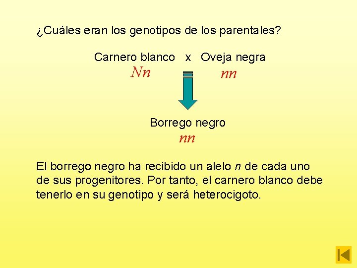 ¿Cuáles eran los genotipos de los parentales? Carnero blanco x Oveja negra Nn nn