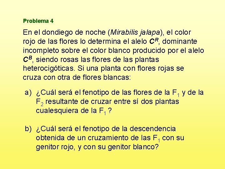 Problema 4 En el dondiego de noche (Mirabilis jalapa), el color rojo de las