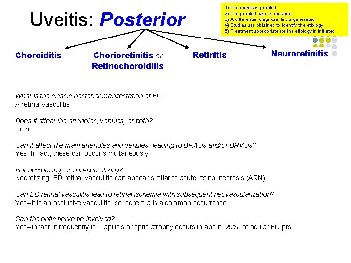 Uveitis: Posterior Choroiditis Chorioretinitis or Retinochoroiditis 1) The uveitis is profiled 2) The profiled