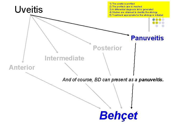 1) The uveitis is profiled 2) The profiled case is meshed 3) A differential