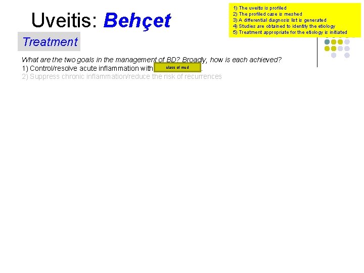 Uveitis: Behçet Treatment 1) The uveitis is profiled 2) The profiled case is meshed