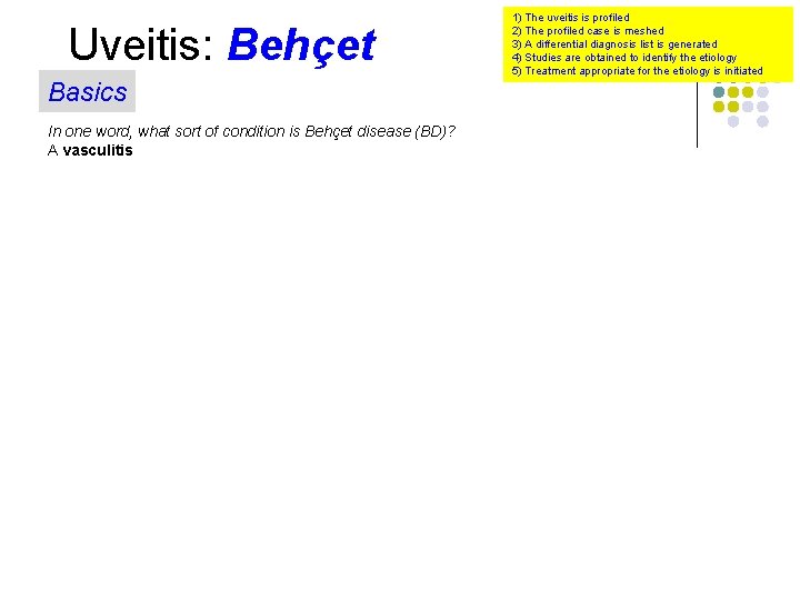 Uveitis: Behçet Basics In one word, what sort of condition is Behçet disease (BD)?