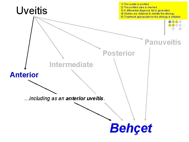 1) The uveitis is profiled 2) The profiled case is meshed 3) A differential