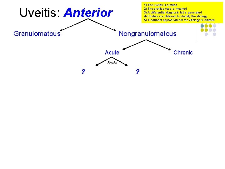 1) The uveitis is profiled 2) The profiled case is meshed 3) A differential