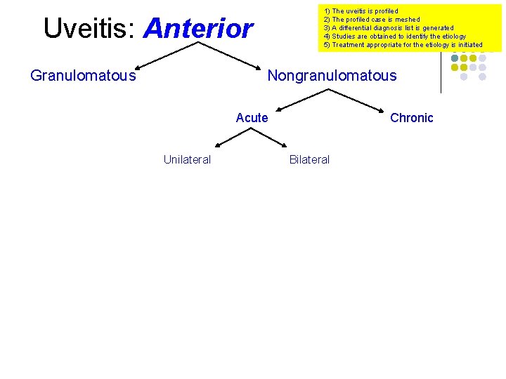 1) The uveitis is profiled 2) The profiled case is meshed 3) A differential