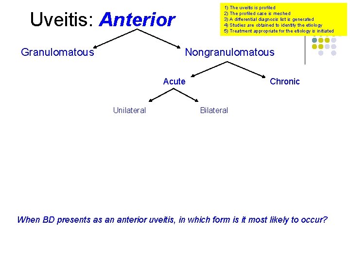 1) The uveitis is profiled 2) The profiled case is meshed 3) A differential