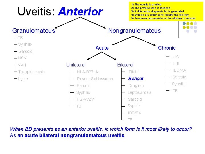 1) The uveitis is profiled 2) The profiled case is meshed 3) A differential