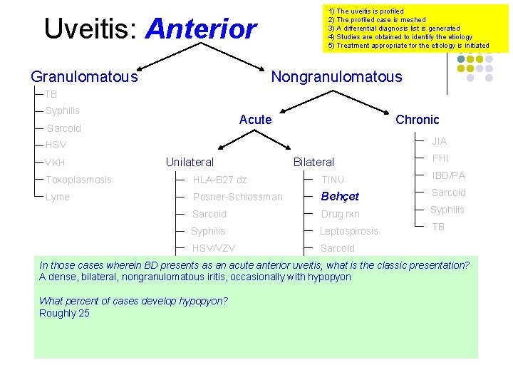 1) The uveitis is profiled 2) The profiled case is meshed 3) A differential