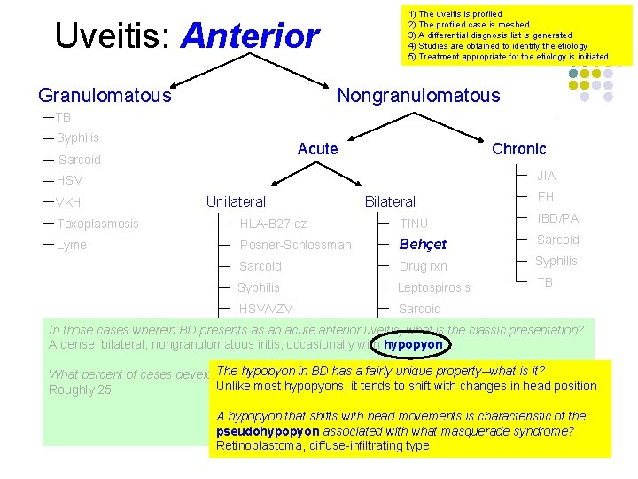 1) The uveitis is profiled 2) The profiled case is meshed 3) A differential