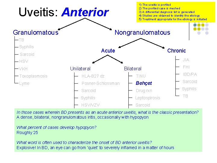 1) The uveitis is profiled 2) The profiled case is meshed 3) A differential