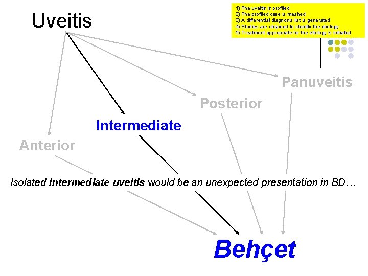 1) The uveitis is profiled 2) The profiled case is meshed 3) A differential