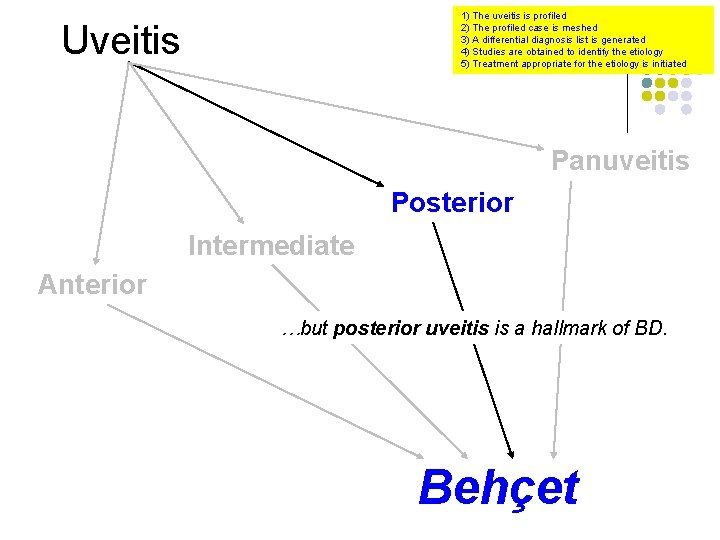 1) The uveitis is profiled 2) The profiled case is meshed 3) A differential