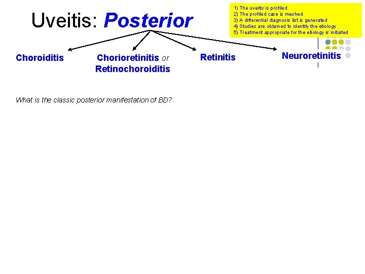 Uveitis: Posterior Choroiditis Chorioretinitis or Retinochoroiditis What is the classic posterior manifestation of BD?