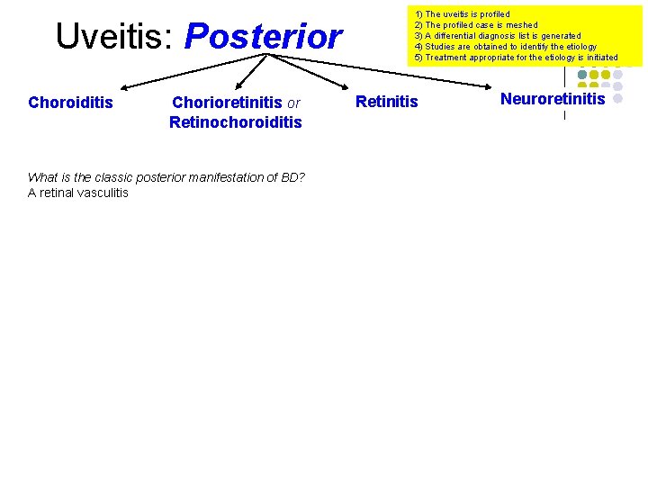 Uveitis: Posterior Choroiditis Chorioretinitis or Retinochoroiditis What is the classic posterior manifestation of BD?