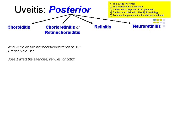 Uveitis: Posterior Choroiditis Chorioretinitis or Retinochoroiditis What is the classic posterior manifestation of BD?