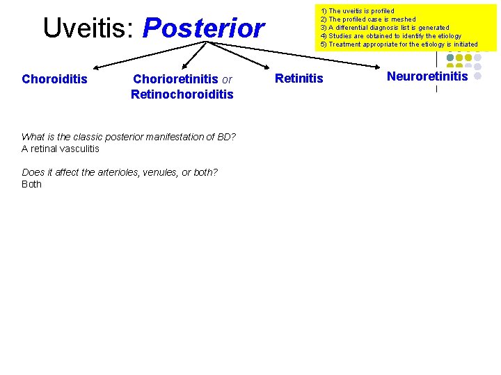 Uveitis: Posterior Choroiditis Chorioretinitis or Retinochoroiditis What is the classic posterior manifestation of BD?
