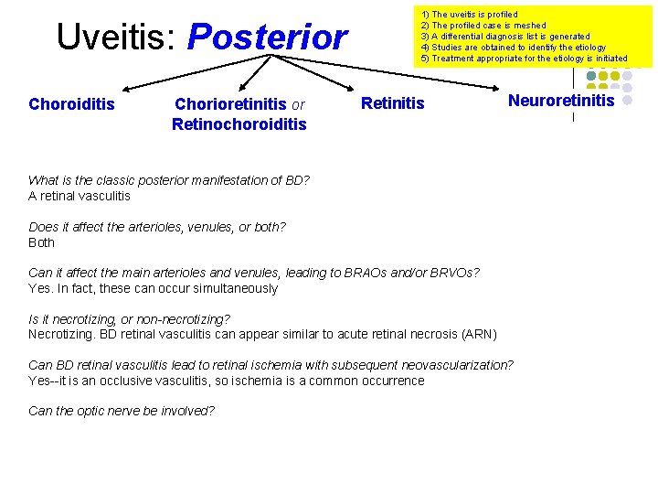 Uveitis: Posterior Choroiditis Chorioretinitis or Retinochoroiditis 1) The uveitis is profiled 2) The profiled
