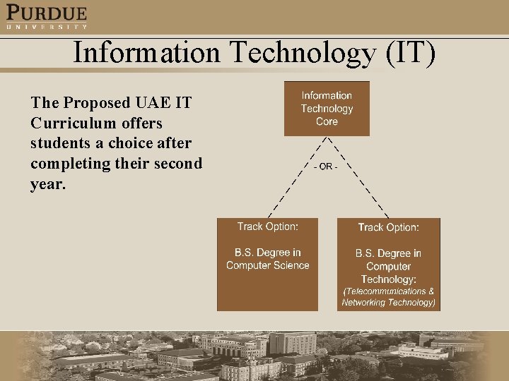 Information Technology (IT) The Proposed UAE IT Curriculum offers students a choice after completing