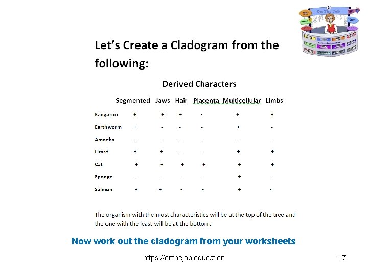 Now work out the cladogram from your worksheets https: //onthejob. education 17 