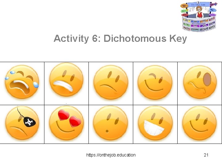 Activity 6: Dichotomous Key https: //onthejob. education 21 