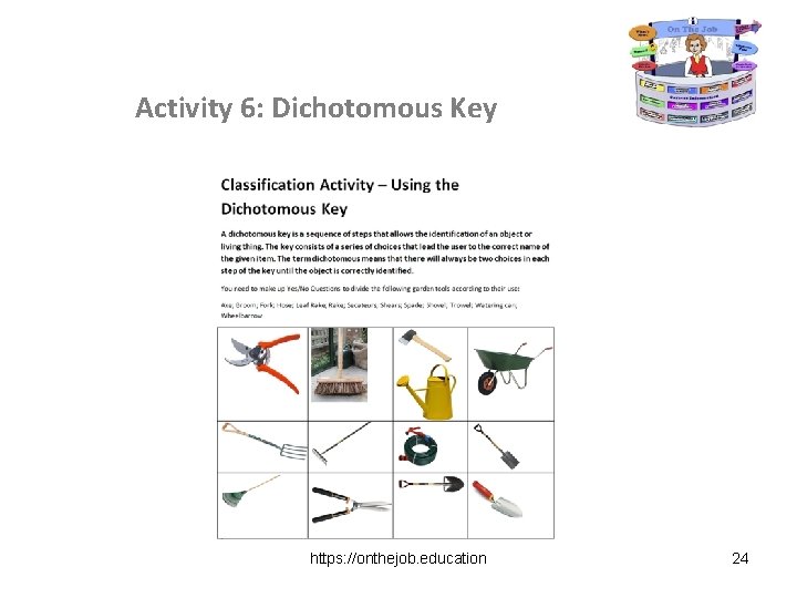 Activity 6: Dichotomous Key https: //onthejob. education 24 