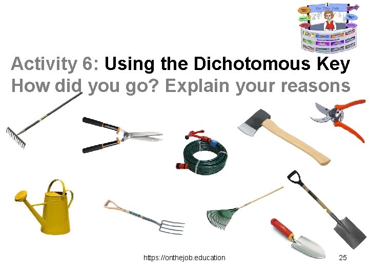 Activity 6: Using the Dichotomous Key How did you go? Explain your reasons https: