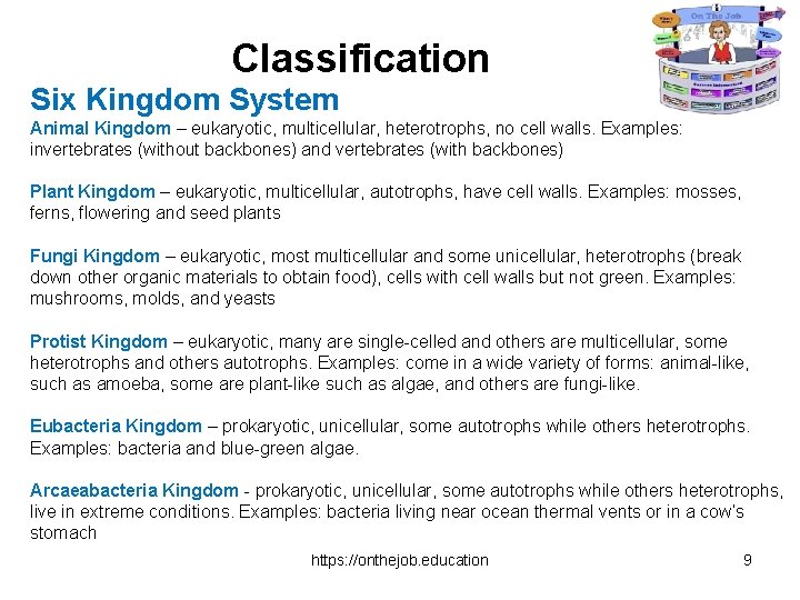 Classification Six Kingdom System Animal Kingdom – eukaryotic, multicellular, heterotrophs, no cell walls. Examples: