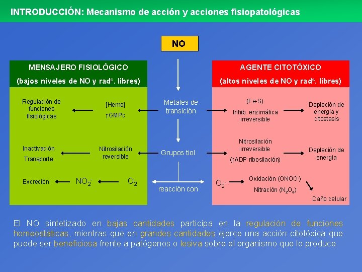 INTRODUCCIÓN: Mecanismo de acción y acciones fisiopatológicas NO MENSAJERO FISIOLÓGICO AGENTE CITOTÓXICO (bajos niveles