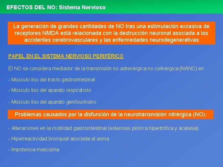 EFECTOS DEL NO: Sistema Nervioso La generación de grandes cantidades de NO tras una