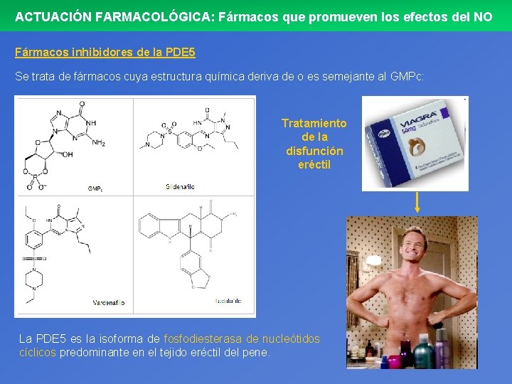 ACTUACIÓN FARMACOLÓGICA: Fármacos que promueven los efectos del NO Fármacos inhibidores de la PDE