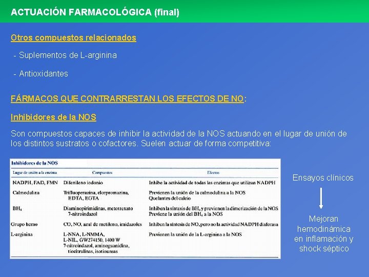 ACTUACIÓN FARMACOLÓGICA (final) Otros compuestos relacionados - Suplementos de L-arginina - Antioxidantes FÁRMACOS QUE