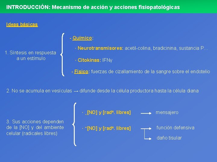 INTRODUCCIÓN: Mecanismo de acción y acciones fisiopatológicas Ideas básicas - Químico: 1. Síntesis en