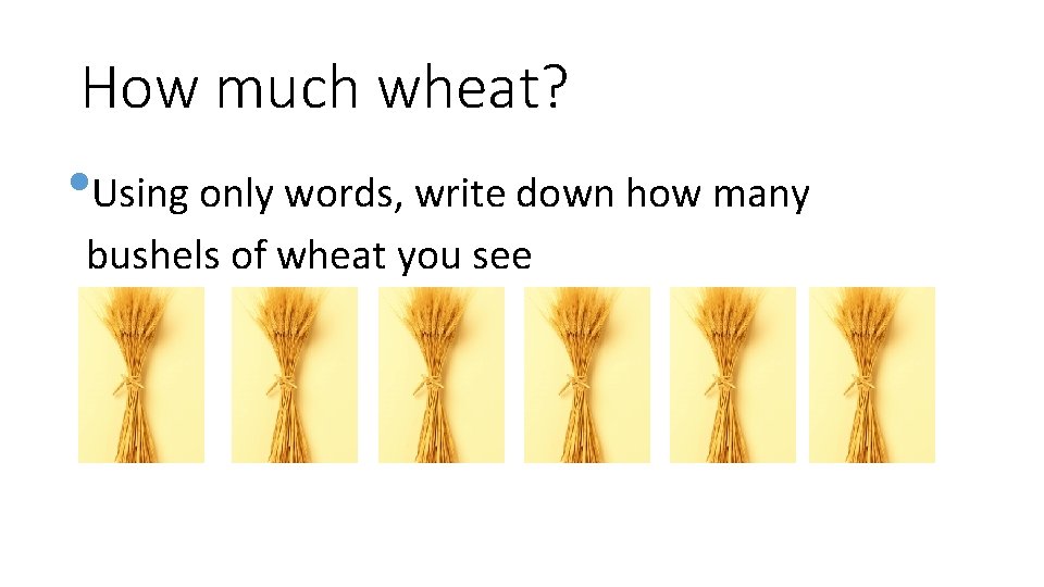 How much wheat? • Using only words, write down how many bushels of wheat