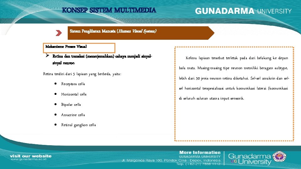 KONSEP SISTEM MULTIMEDIA Sistem Penglihatan Manusia (Human Visual System) Mekanisme Proses Visual Retina dan