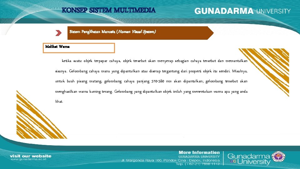 KONSEP SISTEM MULTIMEDIA Sistem Penglihatan Manusia (Human Visual System) Melihat Warna ketika suatu objek